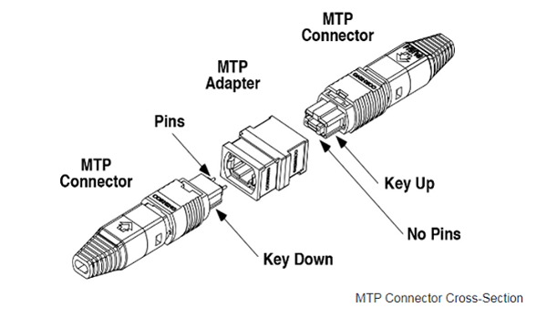 //m.teamipecs.com/www/Enicn/2020/internet_0110/\