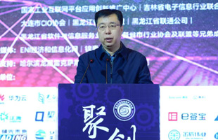 黑龙江省工业和信息化厅二级巡视员 王延庆